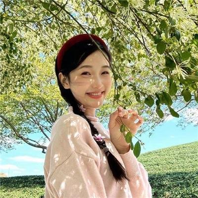 红雀特工